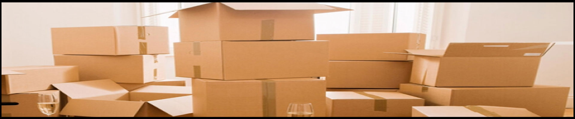 Packers And Movers Noida Sector 110